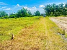 Hình ảnh ĐẤT RỘNG BAO LA Bàu Đồn, Gò Dầu,1000m2,840tr, PLRR, đường rộng rãi