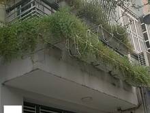 Hình ảnh Bán nhà 60m2 hẻm 4m 1 căn ra HXH Đồng Đen-Trường Chinh P14 Tân Bình