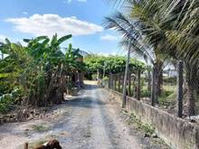Hình ảnh Cần bán đất mặt tiền đường đất rộng rãi tại Thanh Phước, Thanh Bình,TN