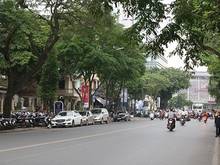 Hình ảnh Cho thuê biệt thự cổ mặt phố Trần Hưng Đạo, 90m2, mt 10m