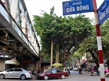 Hình ảnh Cho thuê nhà mặt phố Cửa Đông, 90m2 x 4 tầng + 1 hầm, mt 3.6m
