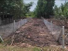 Hình ảnh Bán gấp lô đấy mặt tiền đường Phước Hòa, Long Chữ, Bến Cầu, Tây Ninh