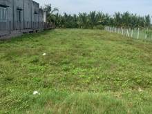 Hình ảnh THANH LÝ ĐẤT Tân Hà, Tân Châu ,H Tân Châu Tây Ninh 160m² giá 570tr SHR