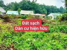 Hình ảnh Chủ gửi bán đất P.Gia Bình - TX.Trảng Bàng DT: 10 x 47 đất CLN 100% tc