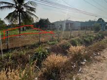 Hình ảnh KHÓ KHĂN KINH TẾ đất Bến Chò, Gò Dầu,165m², 645 triệu, PLRR