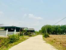 Hình ảnh ĐƯỜNG ÔTÔ CHỈ 420tr Đất cách nhựa lớn thông vào KCN Hiệp Thạnh 2km SHR