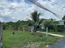 Hình ảnh 🚨 Chủ hạ giá ngay Hoà Thành Tây Ninh giá 495 triệu 130m2 SHR