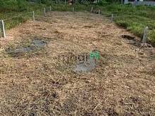 Hình ảnh NHANH TAY CÒN ĐẤT CHẬM TAY CÒN EM bán đất Trần Văn Trà Bình Minh 95m²