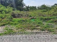 Hình ảnh Chính chủ cần BÁN GẤP MẢNH ĐẤT ĐẸP Ngay Tại Phước Thạnh Gò Dầu TN shr
