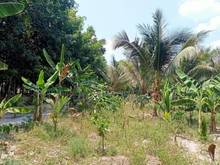 Hình ảnh Đất P.Ninh Sơn, Tp. Tây Ninh. Đất ngay chân núi Bà Đen DT:5×60/390tr
