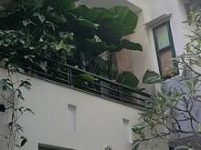 Hình ảnh Bán nhà 3 tầng đúc 52m2 ngang 4m Trương Công Định-Bàu Cát P14 Tân Bình