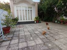 Hình ảnh _SIÊU PHẨM,phường an hoà,tx trảng bàng,tây ninh 1ty580 thương lượng