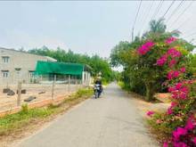 Hình ảnh Kẹt tiền bám gấp đất Chà Là, Lộc Ninh, Dương Minh Châu, Tây Ninh 570tr