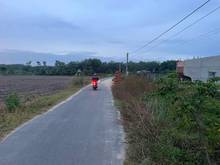 Hình ảnh Cần bán gấp đất thuộc xã An Bình, huyện Châu Thành, Tây Ninh giá 436tr