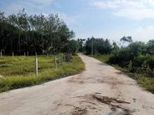 Hình ảnh XOAY TIỀN TRẢ NỢ bán đất ngộp LONG TÂN - TT. BẾN CẦU cắt lỗ 369tr