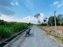Hình ảnh CHO CON DU HỌC BÁN ĐẤT Quang Trung, Phước Trạch, Gò Dầu 150m² 599tr