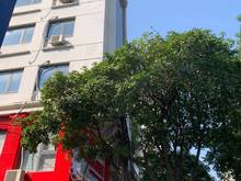 Hình ảnh Giảm 3 tỷ bán nhà MP Khuất Duy Tiến, Thanh Xuân Căn Góc, 8 tầng