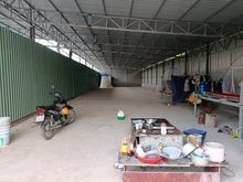 Hình ảnh Bán Gấp - Xưởng 797m2 Có 13 tỷ Thạnh Lộc Quận 12 TPHCM