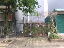 Hình ảnh Bán Đất mặt phố ngay gần VinCom Phạm Ngọc Thạch, có GPXD 8 nổi 1 hầm