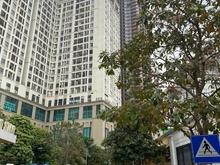 Hình ảnh Cho thuê Biệt thự Roman Plaza Tố Hữu, Nam Từ Liêm 230 mét, 4 tầng đẹp