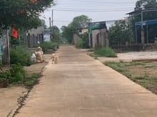 Hình ảnh Bán lô góc 2 mặt tiền đường, 2000m, Bàu Cạn, Long Thành, chỉ 12 tỷ.