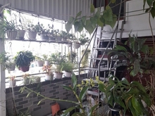 Hình ảnh Nhà bán - KDC Nam Long - Bình Tân