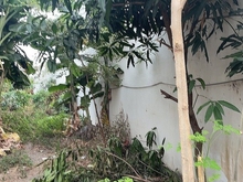 Hình ảnh Rẻ hơn bèo, bán gấp đất mặt tiền đường 494, Lê Văn Việt, Q9, 114m2.