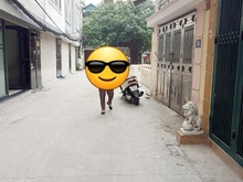 Hình ảnh Bán nhà cấp 4 PHÂN LÔ - OTO TRÁNH - KINH DOANH sát khu dịch vụ MỖ LAO