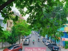 Hình ảnh Siêu hiếm nhà Khu Ẩm thực Phan XÍch Long, Phú Nhuận, 4x18m, 4 tầng.