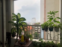 Hình ảnh Bán Trang Chủ MB66.COM / Đăng Ký Tặng 66K Bàu Cát II lô A, 64m2, 2pn giá 2 tỉ 580tr, có sổ hồng