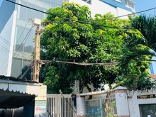 Hình ảnh Cho thuê tòa nhà văn phòng đường Nguyễn Văn Trỗi, Phường 8, Phú Nhuận.