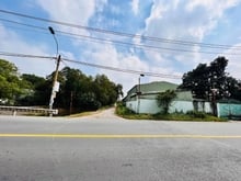 Hình ảnh Bán đất 1000m2 giá 5,8 tỷ TL, Đường 7m Đặng Công Bỉnh, Hóc Môn