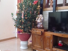 Hình ảnh (rất hiếm) bán nhà chính chủ 40m x 5t,mt 4.3m chùa bộc cho thuê dòng
