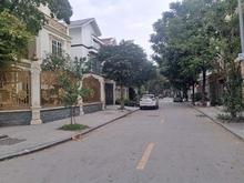Hình ảnh Bán biệt thự trung tâm Cầu Giấy, 160m 4 tầng MT 12.5m, nhỉnh 40 tỷ