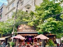 Hình ảnh Bán tòa Trang Chủ MB66.COM / Đăng Ký Tặng 66K dịch vụ 126 Đường Số 13 Tân Kiểng Q7 DT: 10.2x20.2m