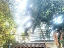 Hình ảnh 🏡 Cho thuê villa 6 phòng ngủ chỉ 73tr, Đ. Nguyễn Văn Hưởng