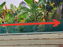 Hình ảnh Kèo Thơm 5m x  41 =  4.6 tỷ An Phú Đông Quận 12 TPHCM