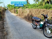 Hình ảnh Chính chủ bán bán sổ đất thổ ở THANH PHÚ LONG, CHÂU THÀNH, LONG AN giá