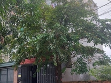 Hình ảnh Bán nhà shr đúc 3 lầu + lô đất 10x18m chợ Đại Hải