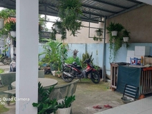 Hình ảnh Nhà Vườn 139m2 có 3 tỷ x Thới Tứ Thới Tam Thôn TPHCM - Về ở Tết