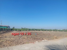Hình ảnh Chính chủ bán đất ở HIỆP THẠNH, CHÂU THÀNH, LONG AN giá Trang MB66.COM Chính Thức - MB 66 Uy Tín
