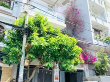 Hình ảnh MTNB đường Nguyễn Trường Tộ, P. Tân Thành ( DT: 8.2mx17m) đúc 3.5 tấm