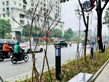 Hình ảnh Bán nhà mặt phố Láng Hạ,Đống Đa,2 mặt thoáng, 60m,17,5 tỷ