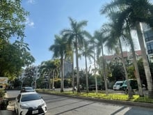 Hình ảnh Nhà phố MB66 là nhà cái hàng đầu tại Việt Nam mang đến trải nghiệm cá cược đỉnh cao 5 tầng Mt 35m q7 mới 100% dọn vào kinh doanh ngay