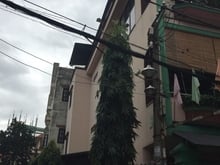 Hình ảnh NHÀ ĐẸP HXH NGUYỄN XÍ, p13, bình thạnh. dt 100m2, giá 10.8 tỷ bớt lộc