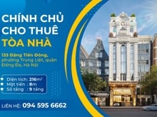 Hình ảnh Cho thuê mặt bằng kinh doanh 216m2x9 tầng mặt phố Đặng Tiến Đông
