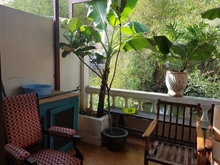 Hình ảnh ✅Căn Hộ 1Phòng Style Indochine View Cây Xanh