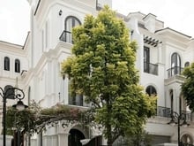 Hình ảnh Bán Apartment Nguyễn Văn Hưởng, 8,5x27m,Hầm 5 Lầu, Mới Đưa Vào Sử Dụng