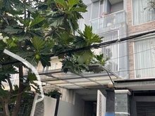Hình ảnh Cho Thuê Nhà Đường Lương Định Của, P. An Khánh Quận 2