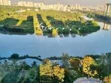 Hình ảnh Bán gấp Trang Chủ MB66.COM / Đăng Ký Tặng 66K Riverside residence PMH Q7. 2PN, View sông nhà đẹp